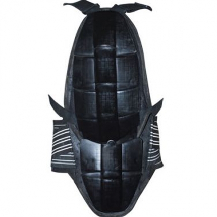 Back Protector